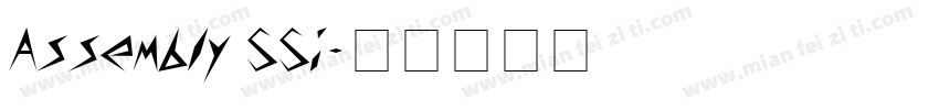 Assembly SSi字体转换